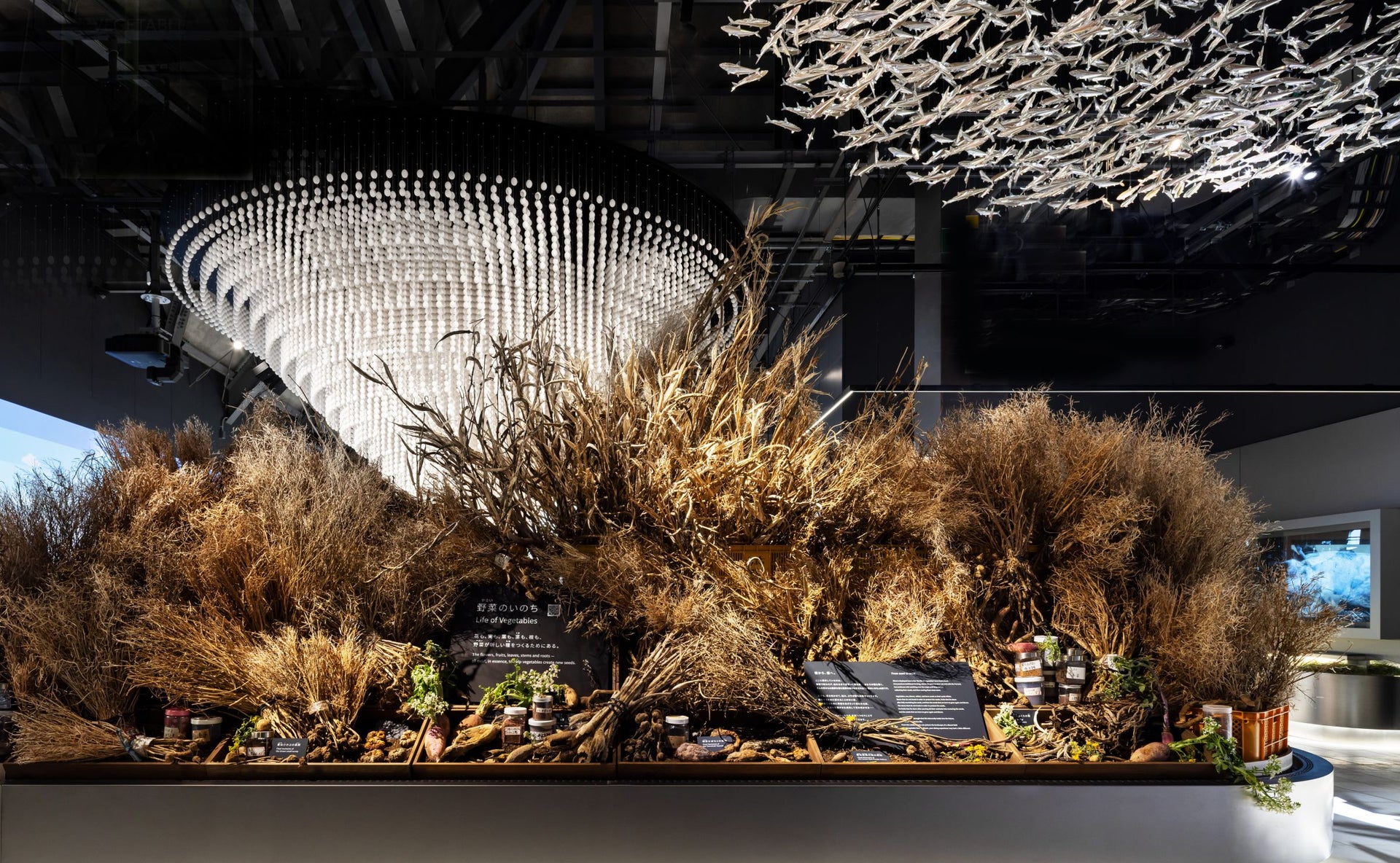 2025年日本国際博覧会　シグネチャーパビリオン「EARTH MART」1